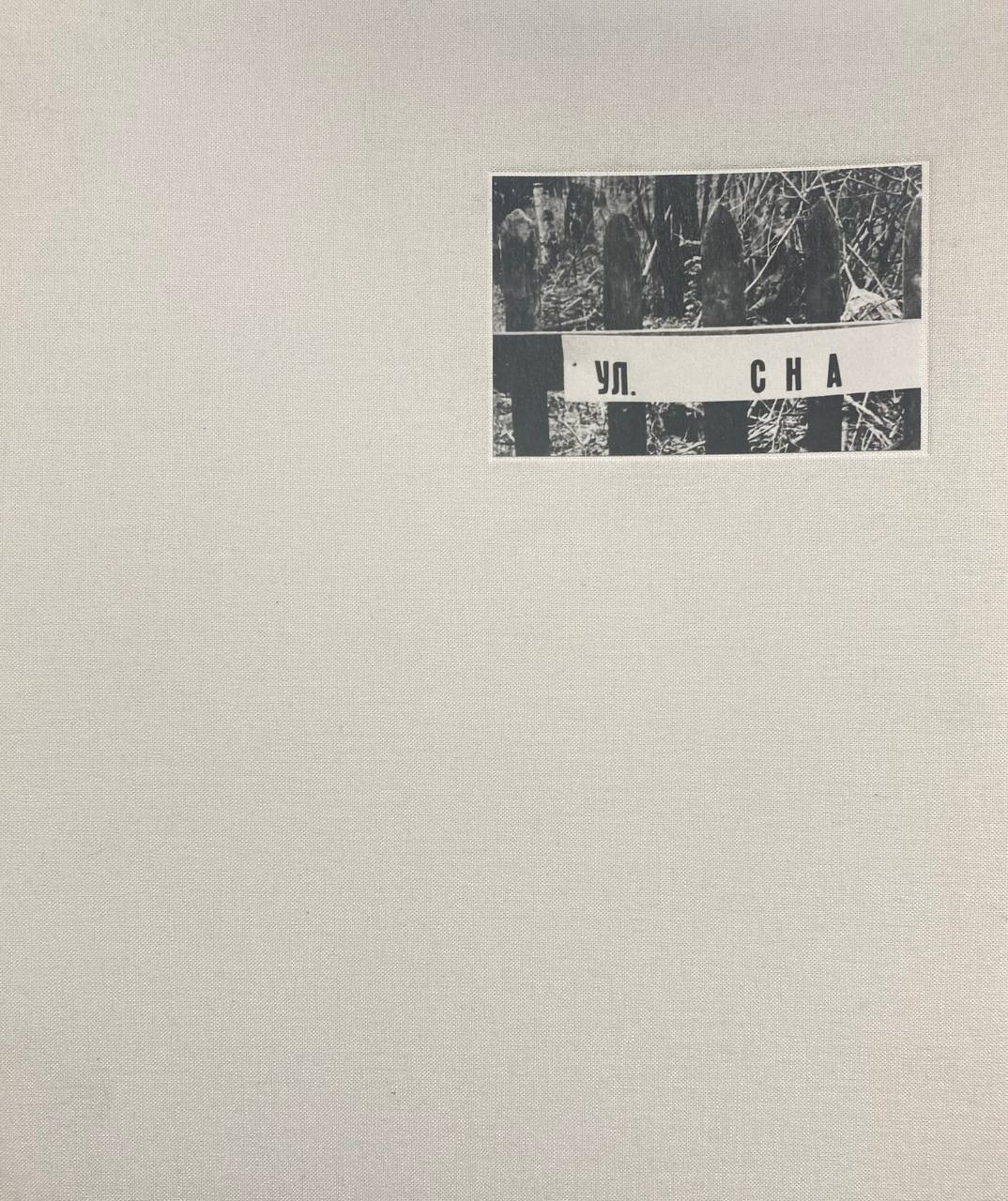    Ольга Чернышева. Улица Сна