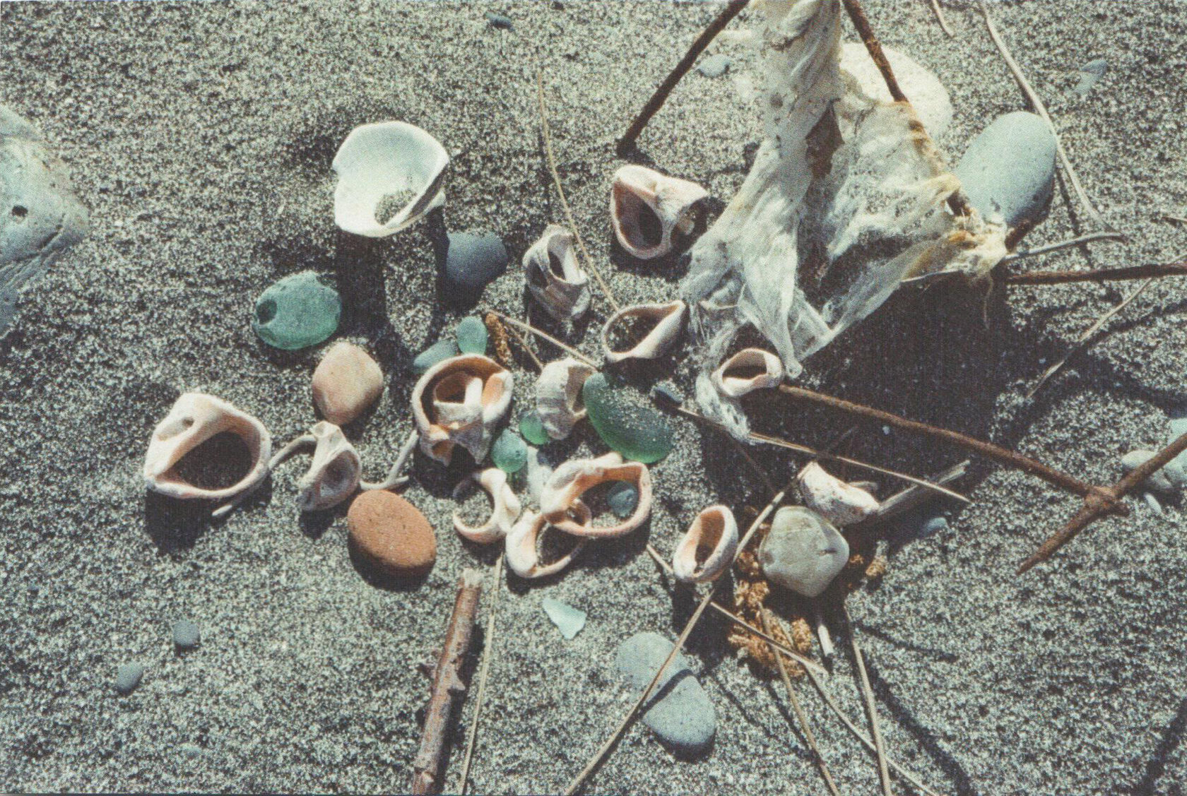 Открытки Наталья Мадильян