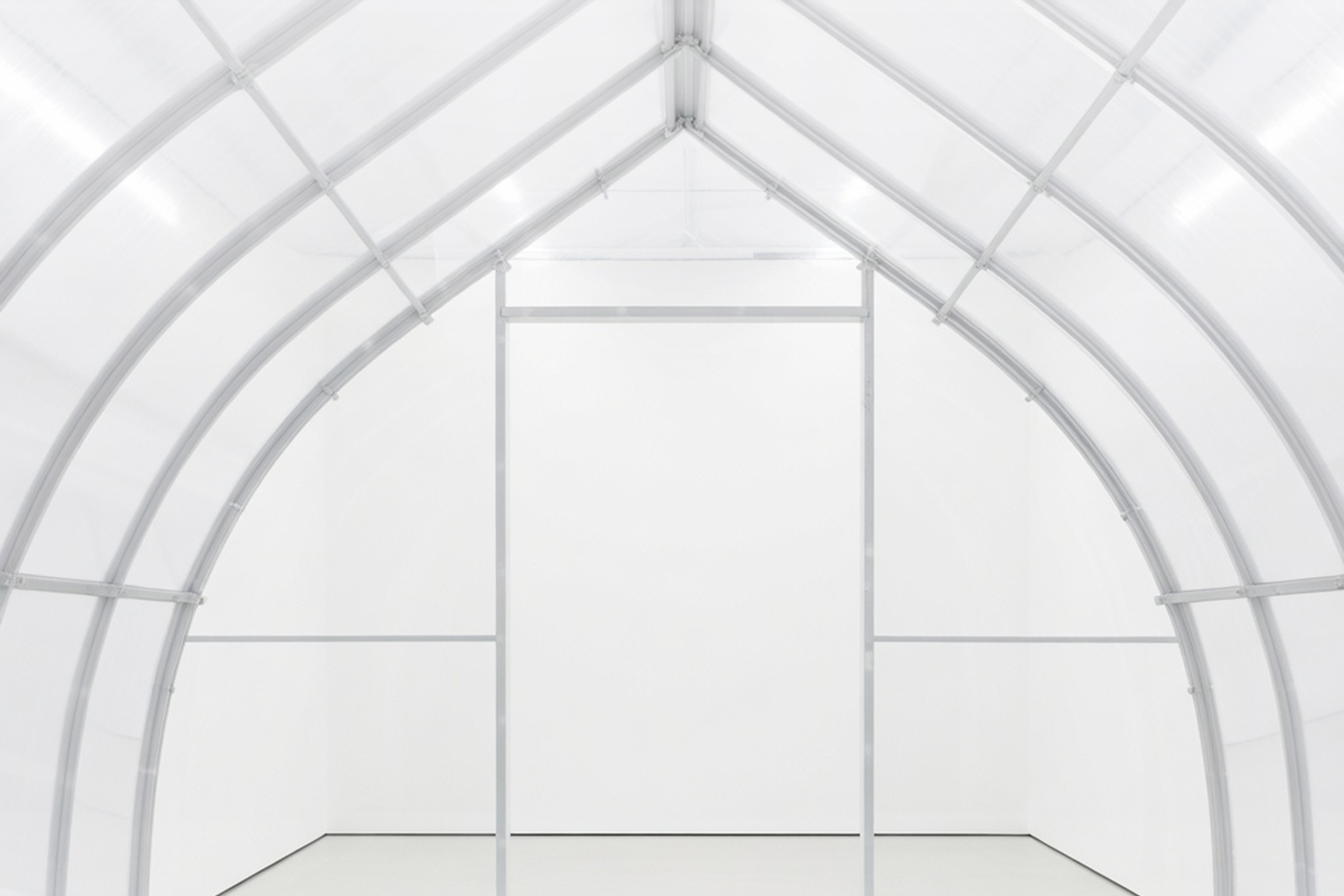  Выставка «Заговор тополей». Акт III: Убежище